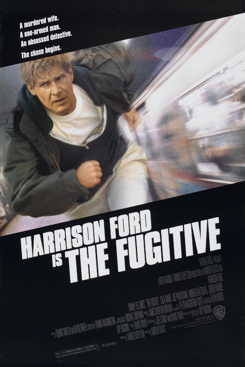 亡命天涯the fugitive(1993)海报 #04