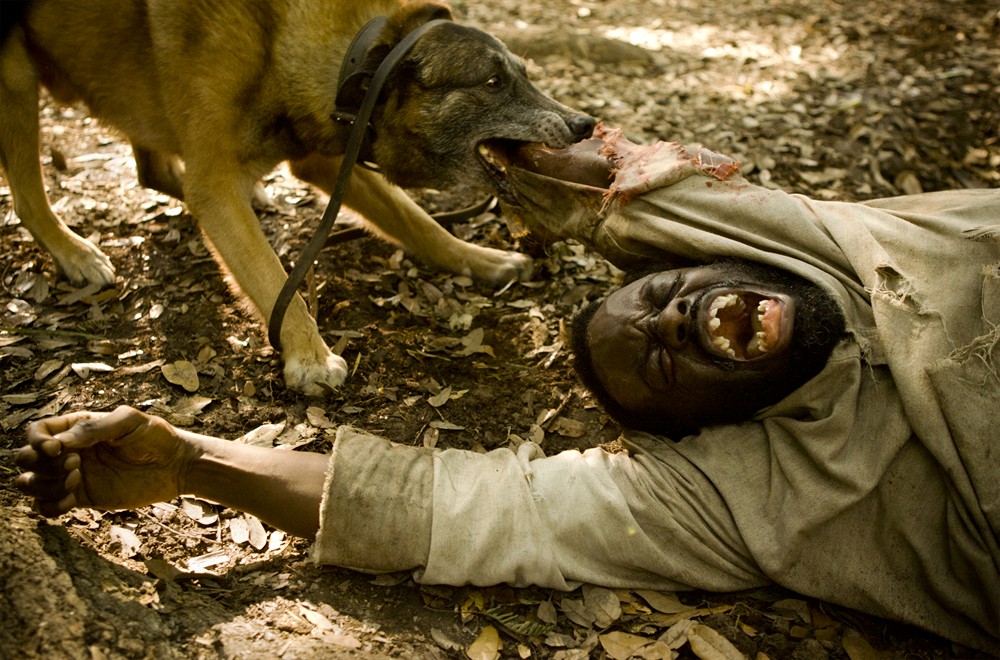 被解救的姜戈 官方剧照