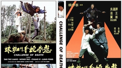 龙拳蛇手斗蜘蛛剧照3
