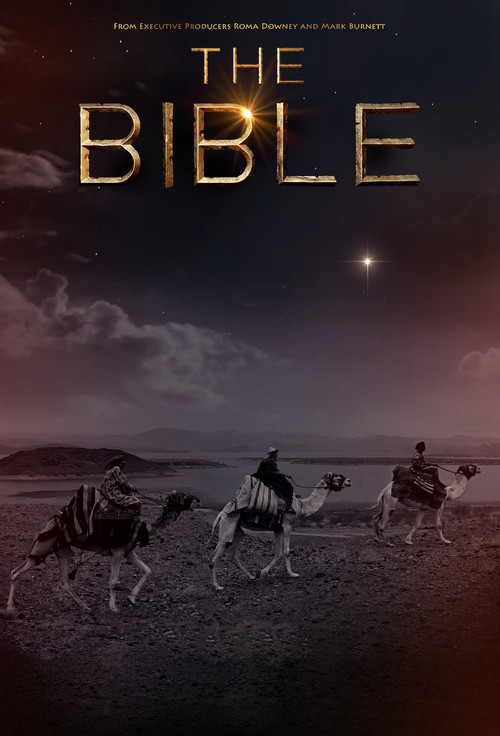圣经the bible(2013)海报 #06