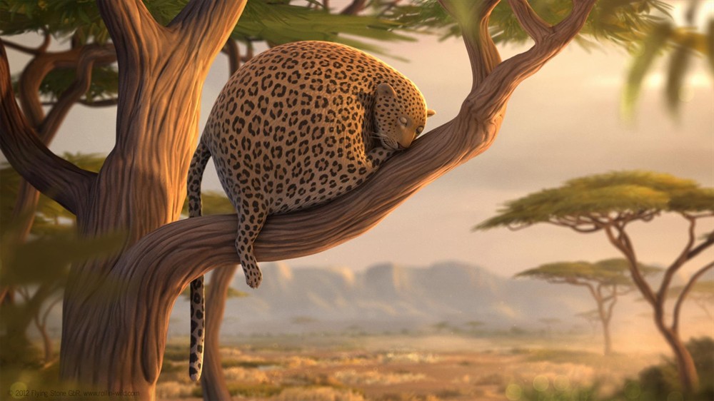 肥版国家地理四部曲