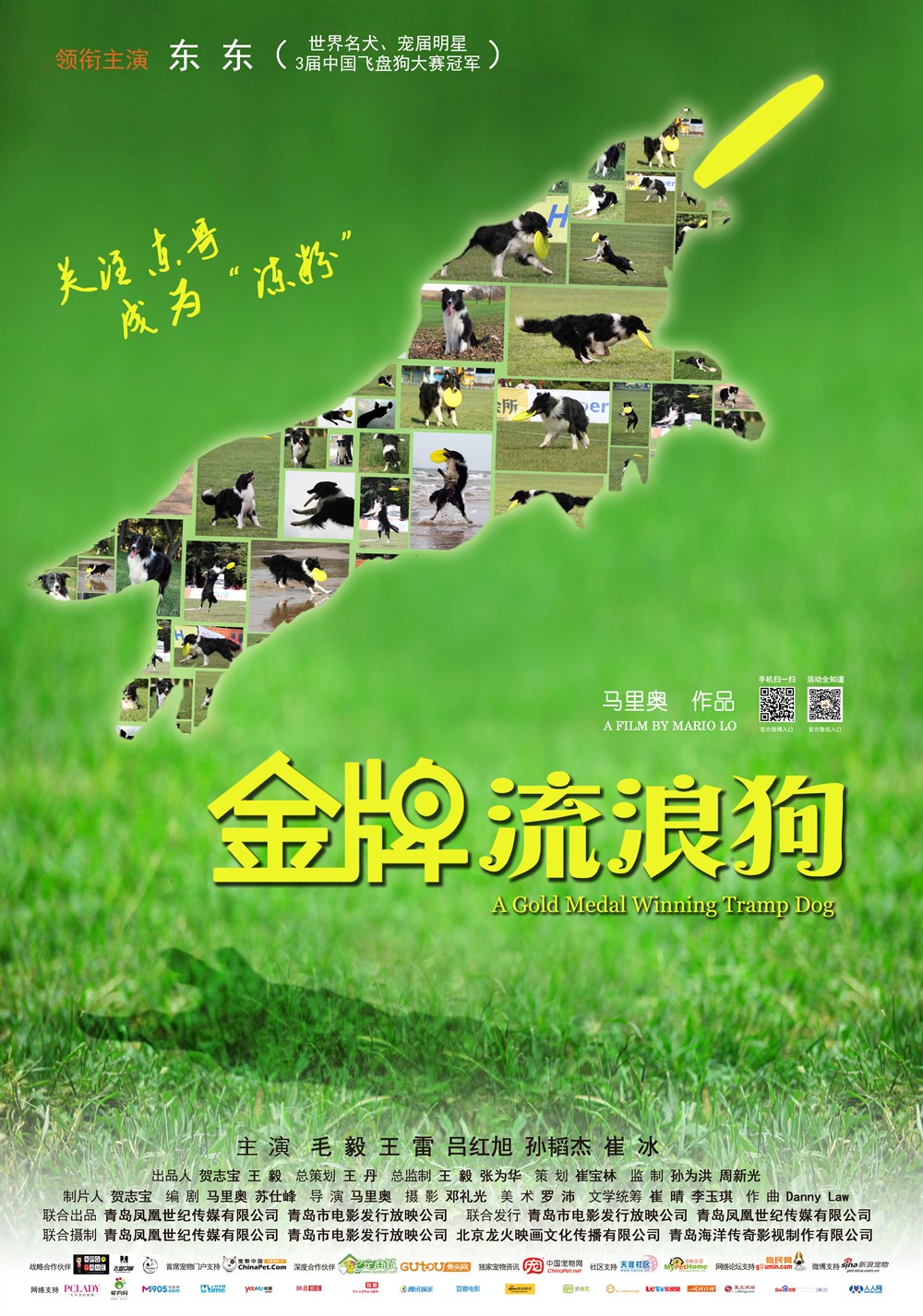 金牌流浪狗