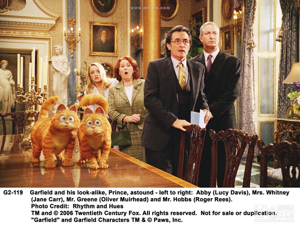 加菲猫2之双猫记