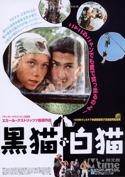 黑猫白猫