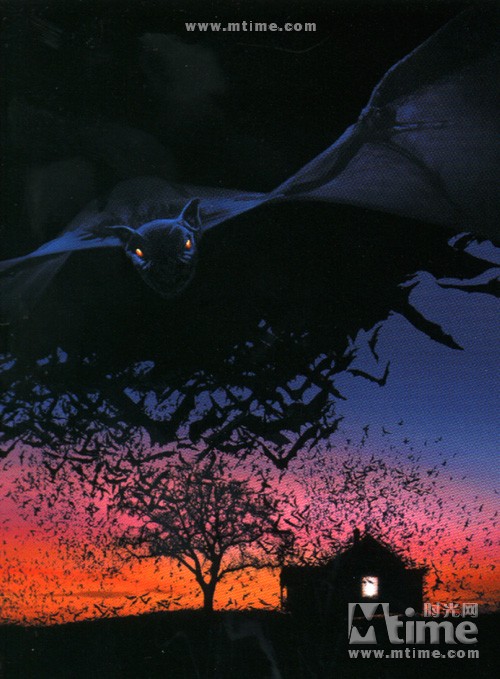 蝙蝠电影 时光网