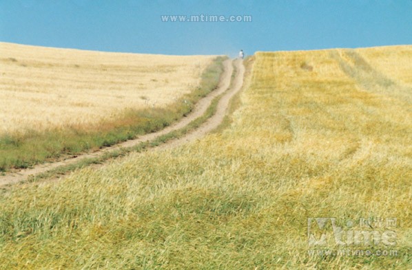 随风远逝 时光网