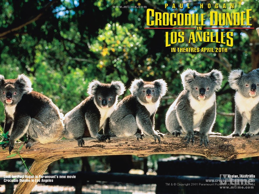 鳄鱼邓迪勇闯洛杉矶