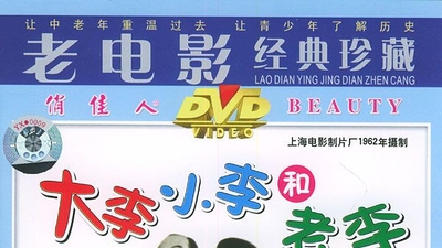 大李小李和老李剧照2