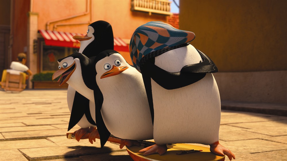 马达加斯加的企鹅