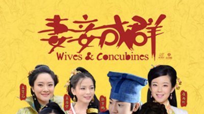 妻妾成群剧照1