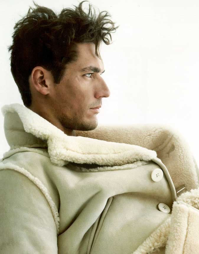 大卫·甘迪 写真 - mtime时光网