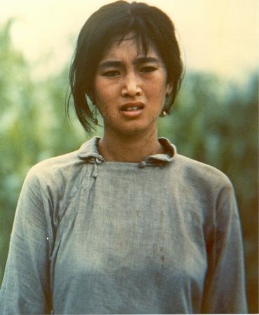 红高粱