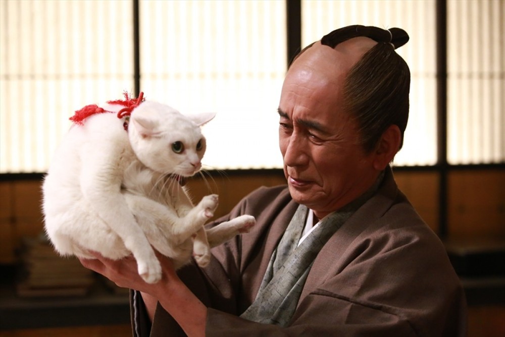猫侍 第二季