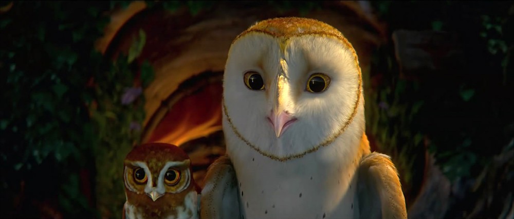 猫头鹰王国:守卫者传奇