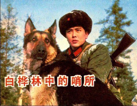 白桦林中的哨所 海报