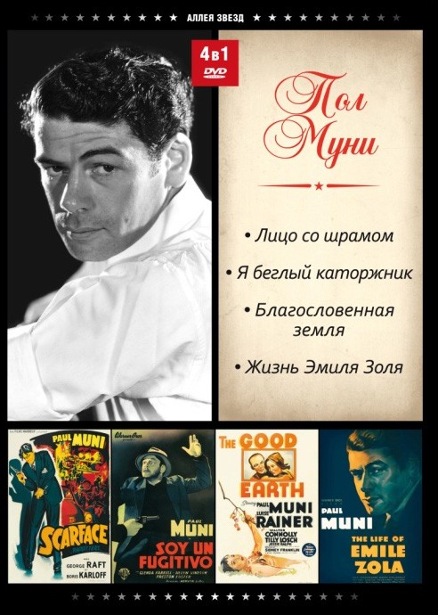 疤面人 正式海报 - mtime时光网