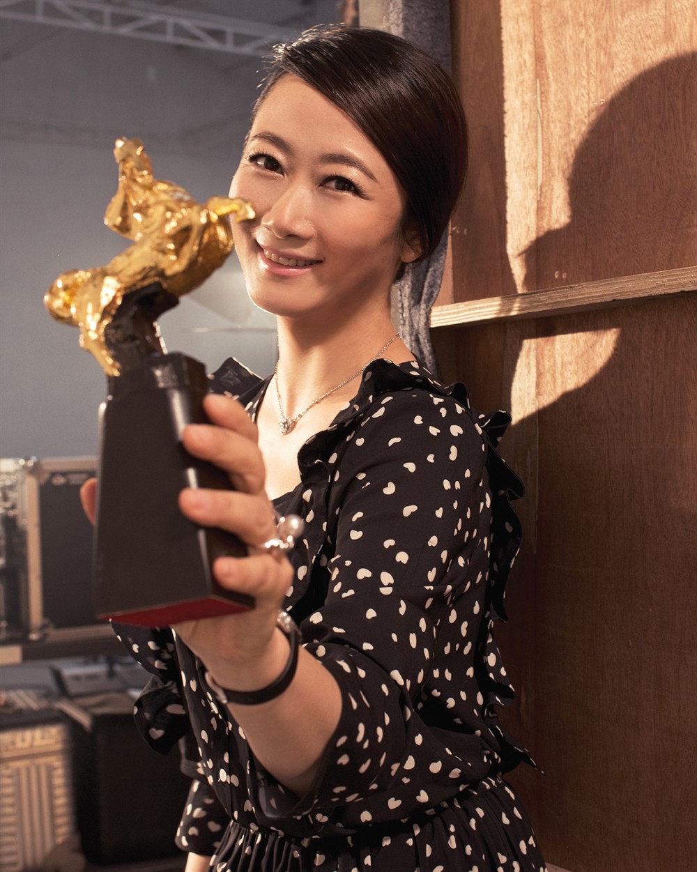 第52届台湾电影金马奖