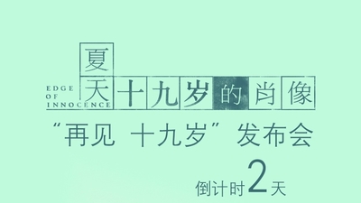 夏天19岁的肖像剧照3