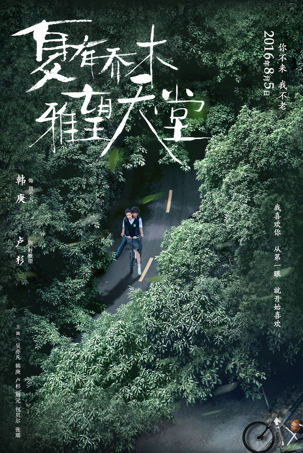 夏有乔木 雅望天堂