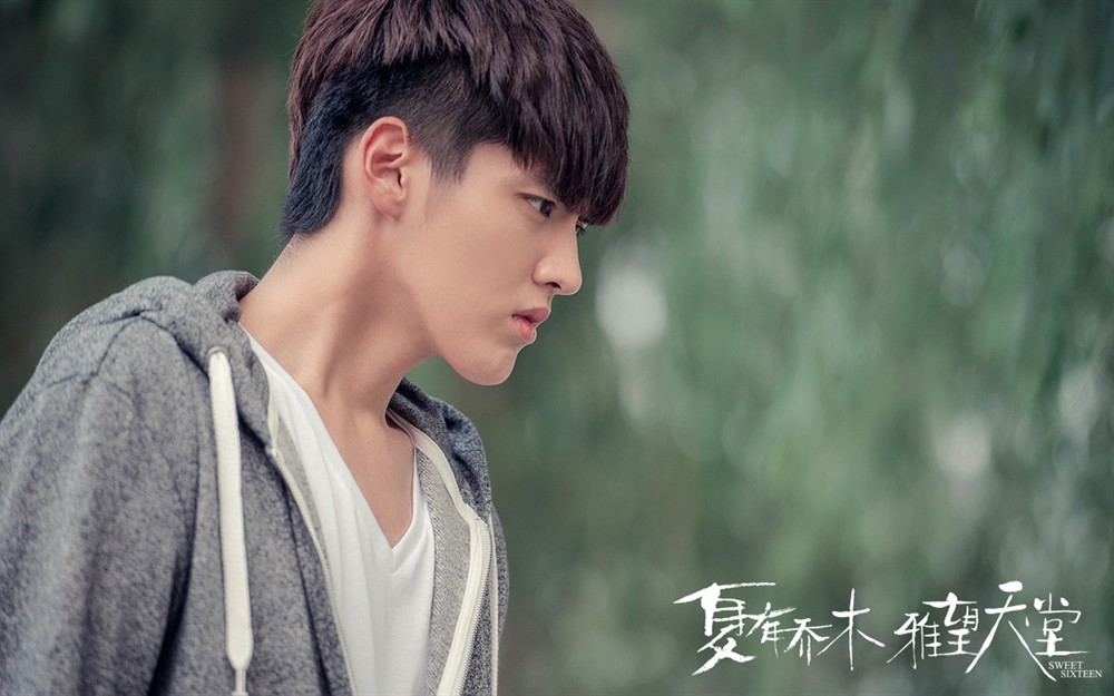 夏有乔木雅望天堂