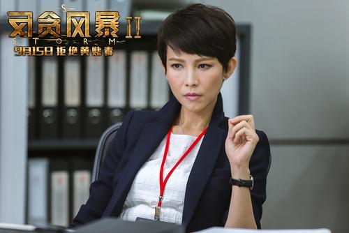 反贪风暴2联手侦破