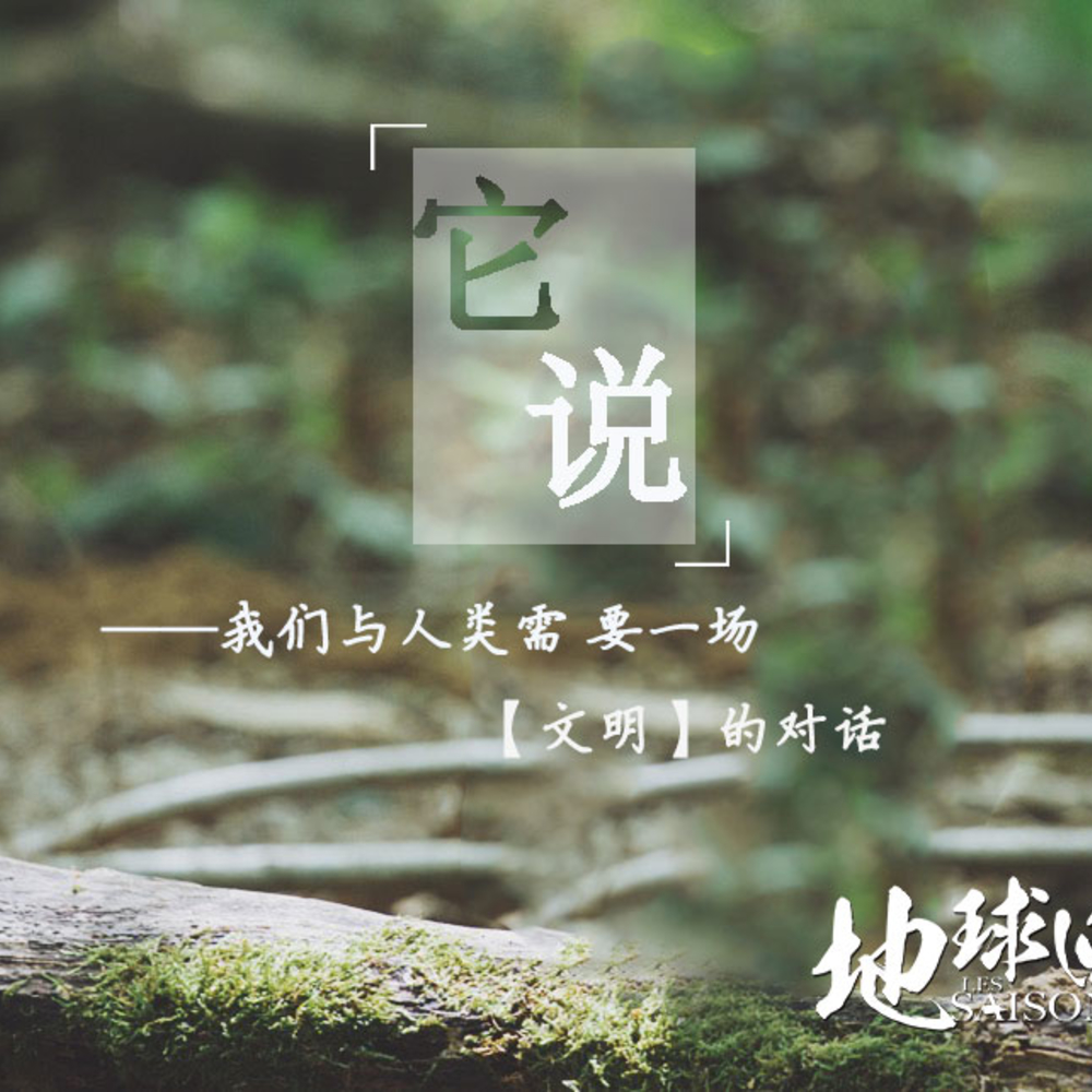 [法国][德国]《地球四季》[中文版][黄晓明蒋雯丽配音]1080P/720P/MKV磁力迅雷下载