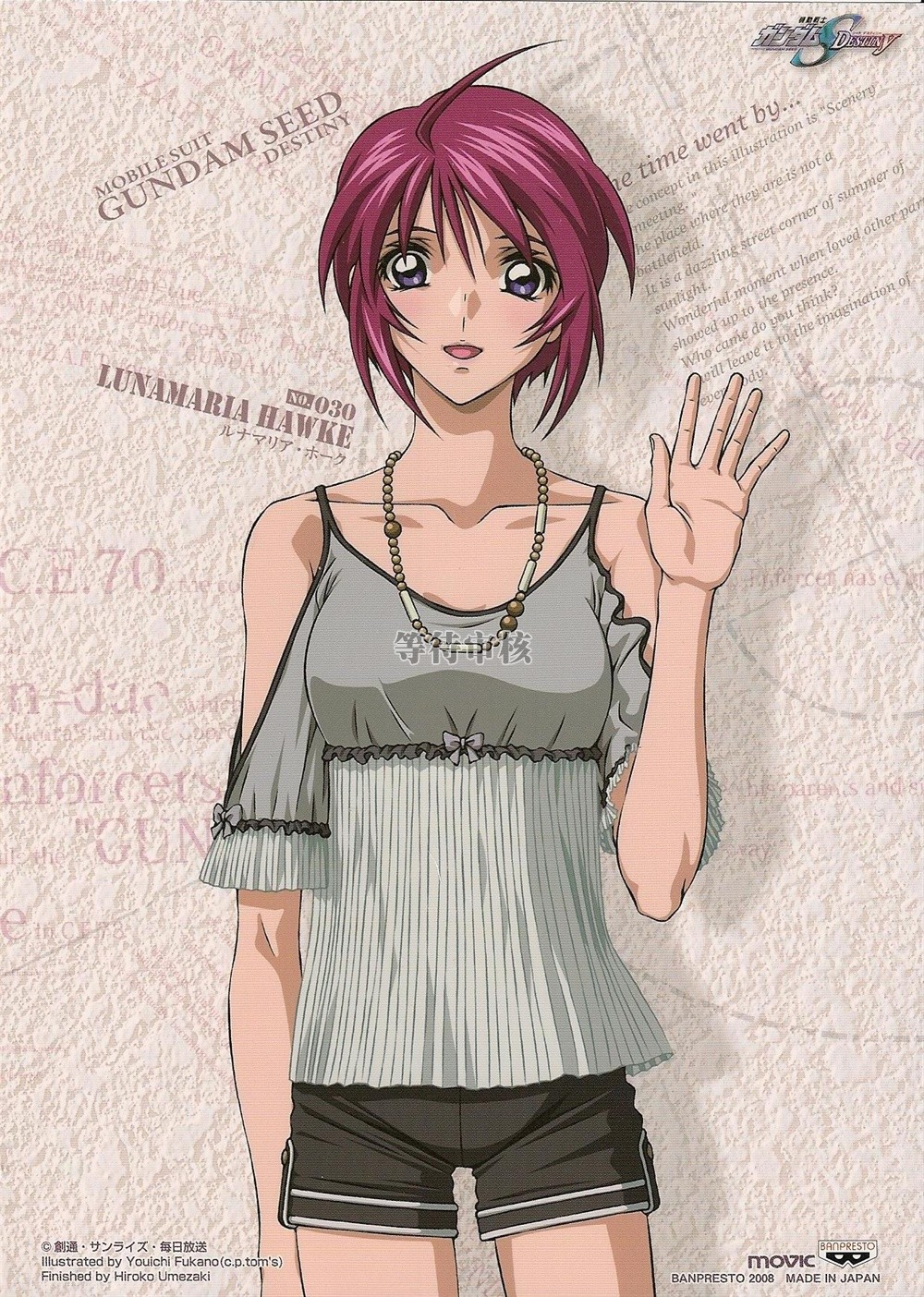 机动战士高达seed destiny 角色海报 - mtime时光网